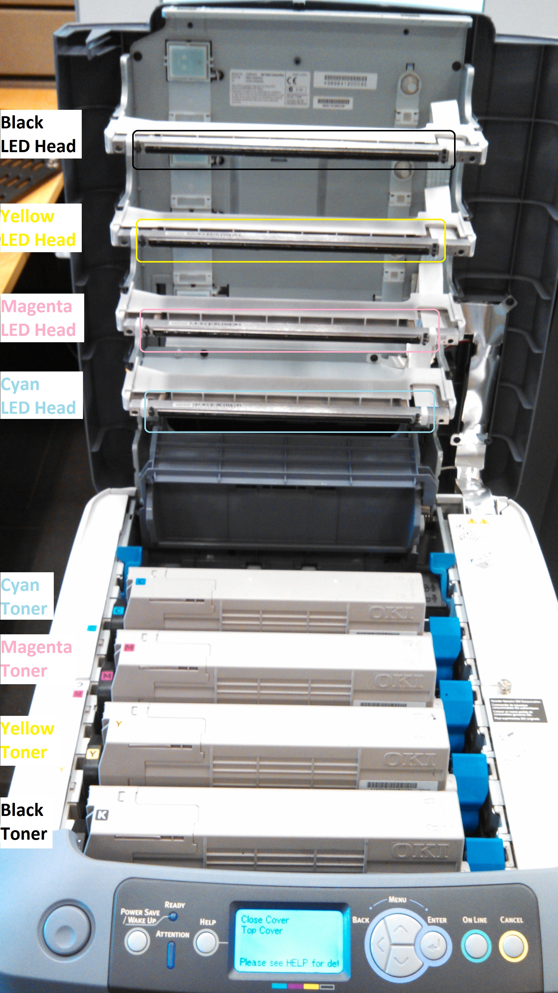 pølse Person med ansvar for sportsspil botanist Troubleshooting & Supply Tips: C711/C712 Color Printer |  https://support.wepanow.com